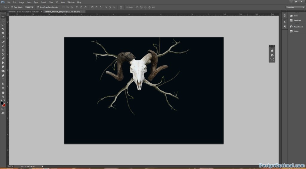3.2 Placing the branches stocks around the goat skull